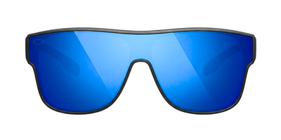 FlexVision