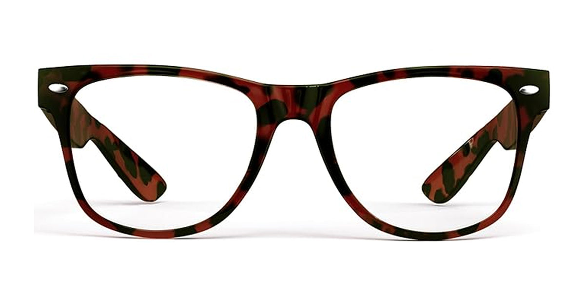 EasyVision