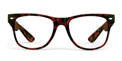 EasyVision