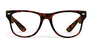 EasyVision