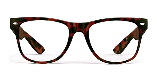 EasyVision